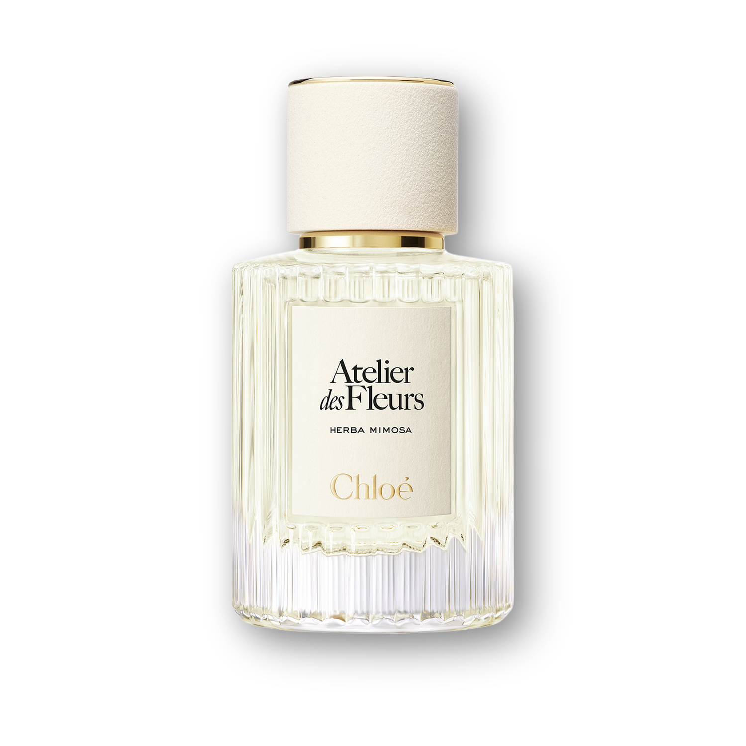 Shop Chloe Atelier Des Fleurs Herba Mimosa EDP 150ml | My Perfume