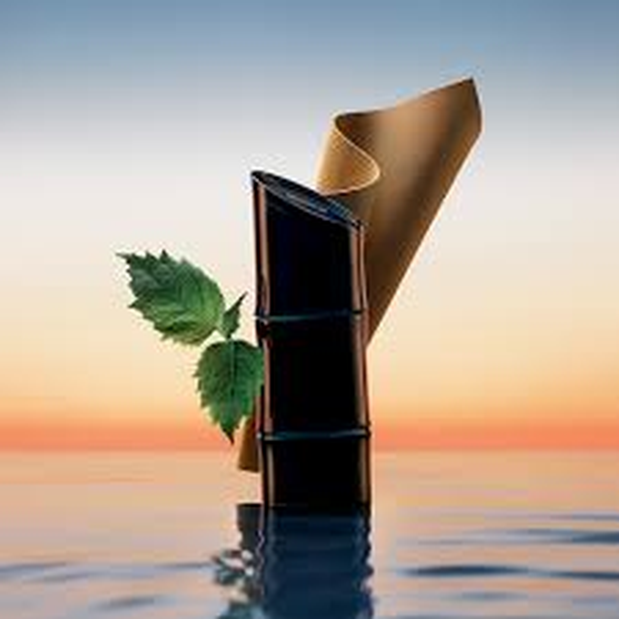 Kenzo Homme EDP fragrance notes image