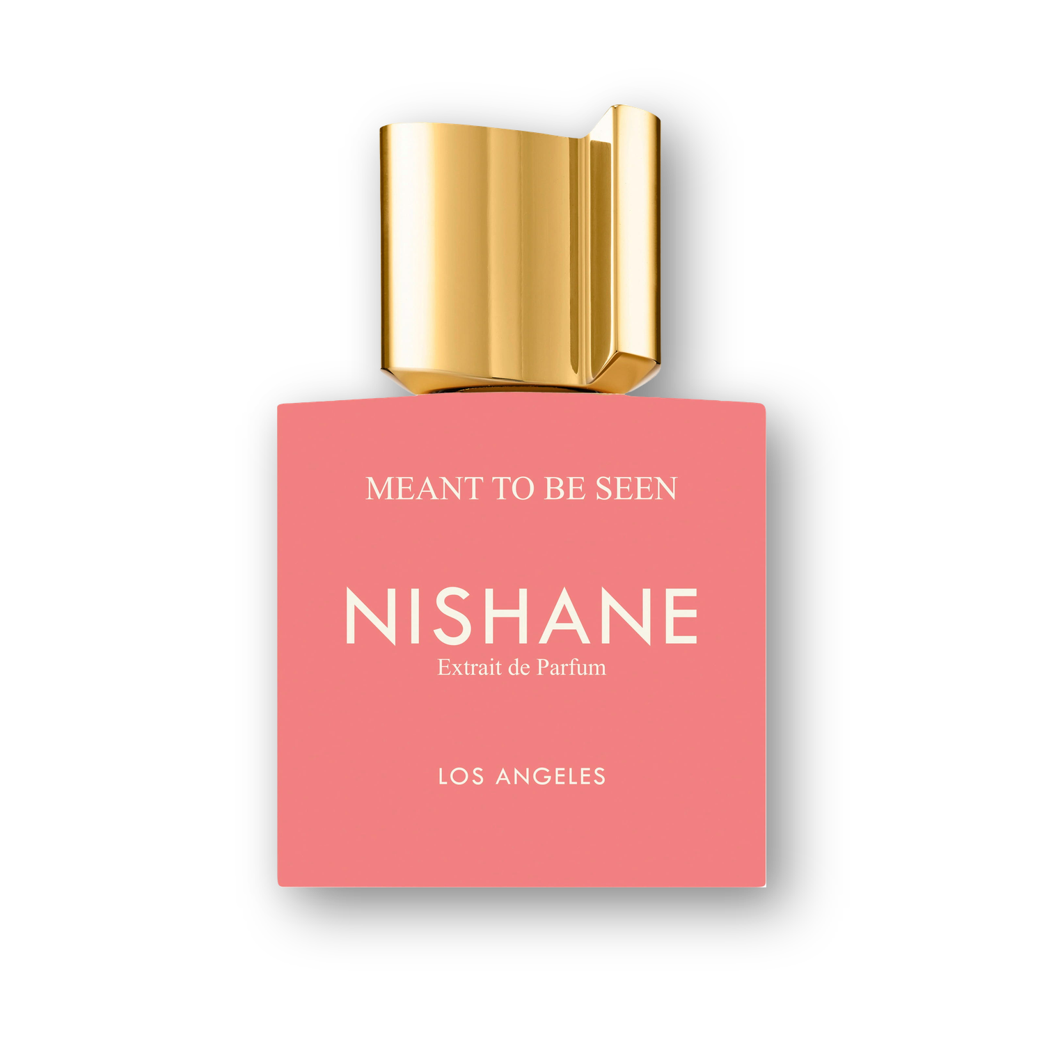 Nishane Meant To Be Seen Extrait de Parfum hero image