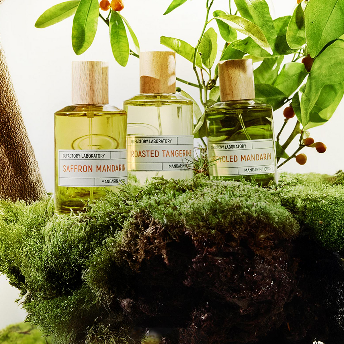 Liquides Imaginaires Upcycled Mandarin EDP details image