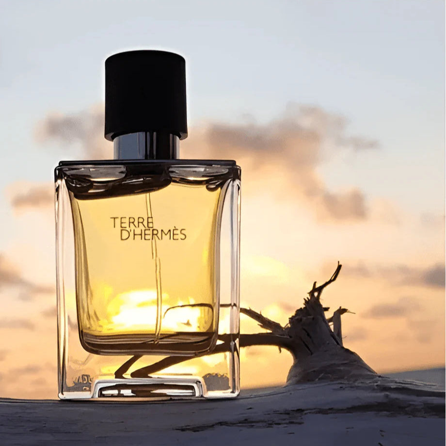 Hermes Terre D'Hermes EDT Aftershave Set