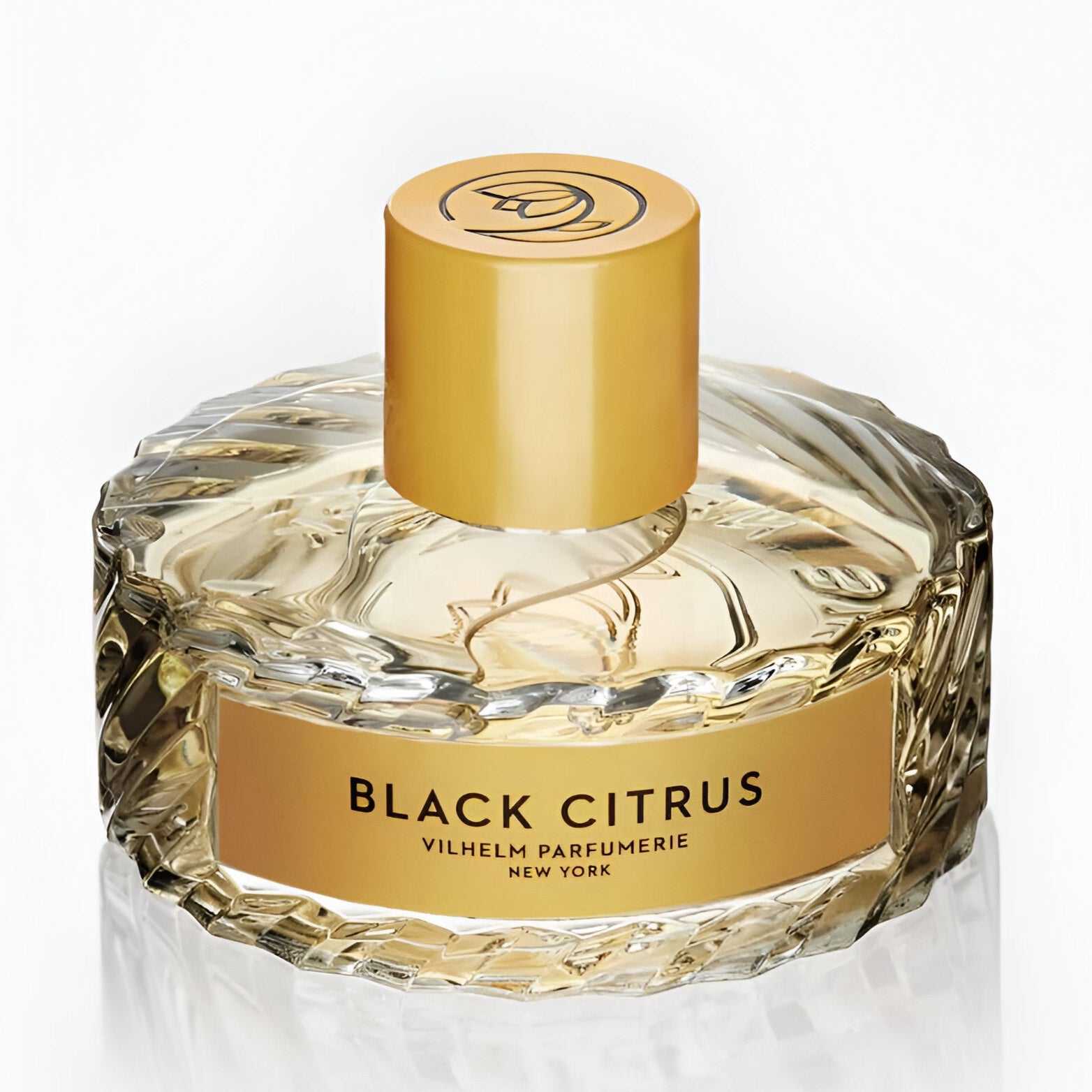 فيلهلم بارفوميري بلاك سيتروس إي دي بي