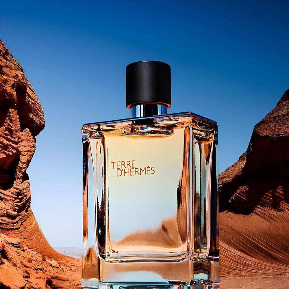 Hermes Terre D'Hermes EDT Aftershave Set