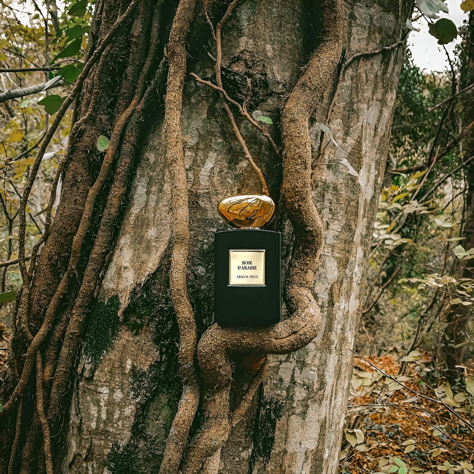 Giorgio Armani Armani Prive Rose D'Arabie Mini EDP Intense | My Perfume Shop