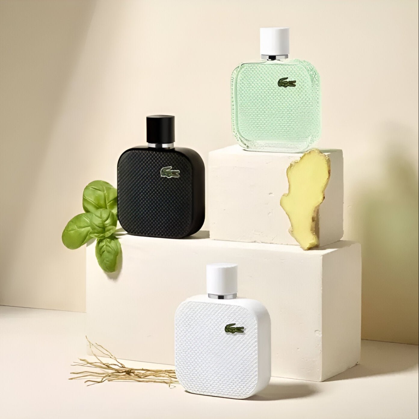 Lacoste L.12.12 Noir EDT | My Perfume Shop