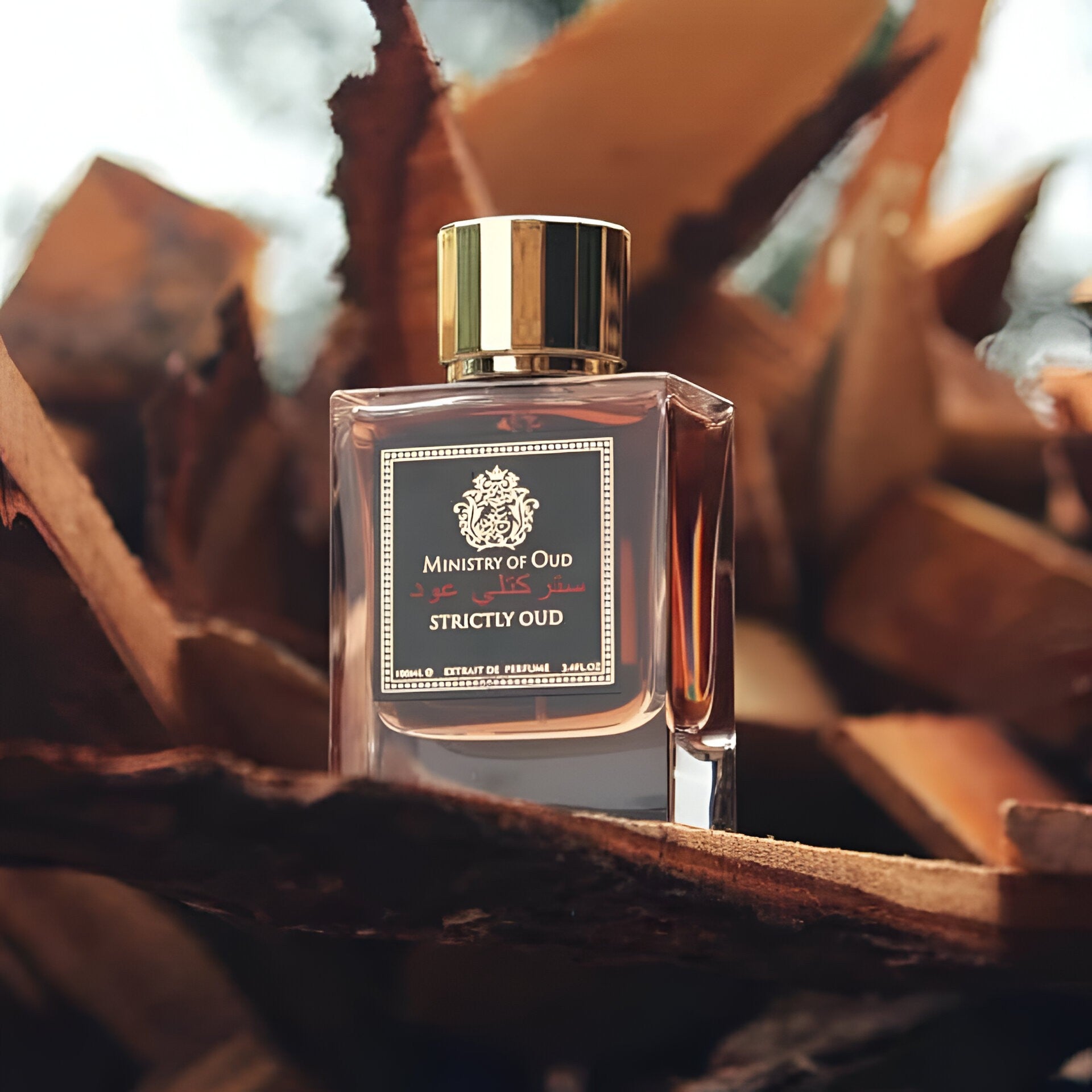 Ministry Of Oud Strictly Oud Extrait de Perfume