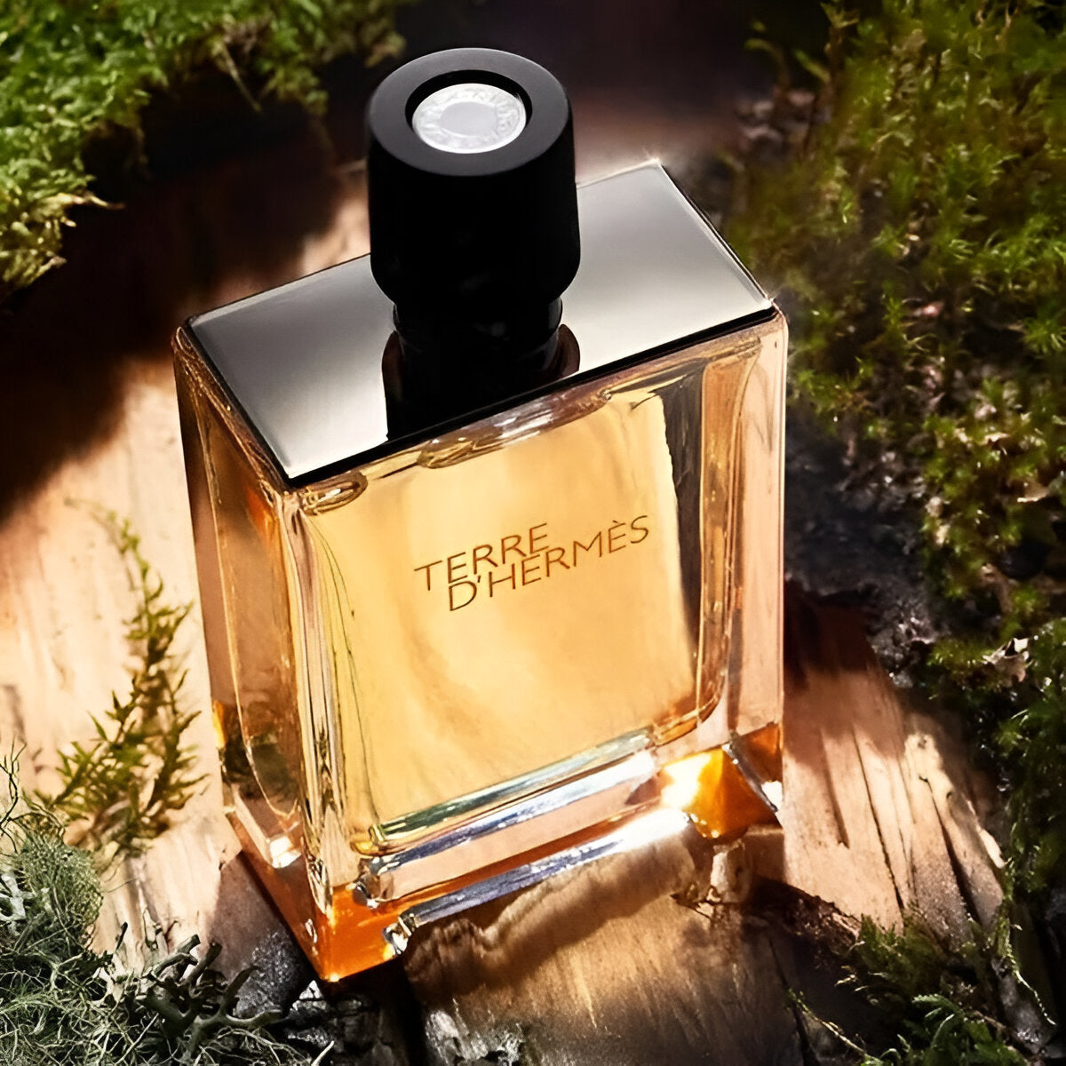 Hermes Terre D'Hermes EDT For Men Gift Set