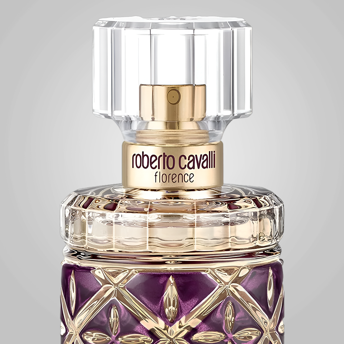 Roberto Cavalli Florence EDP