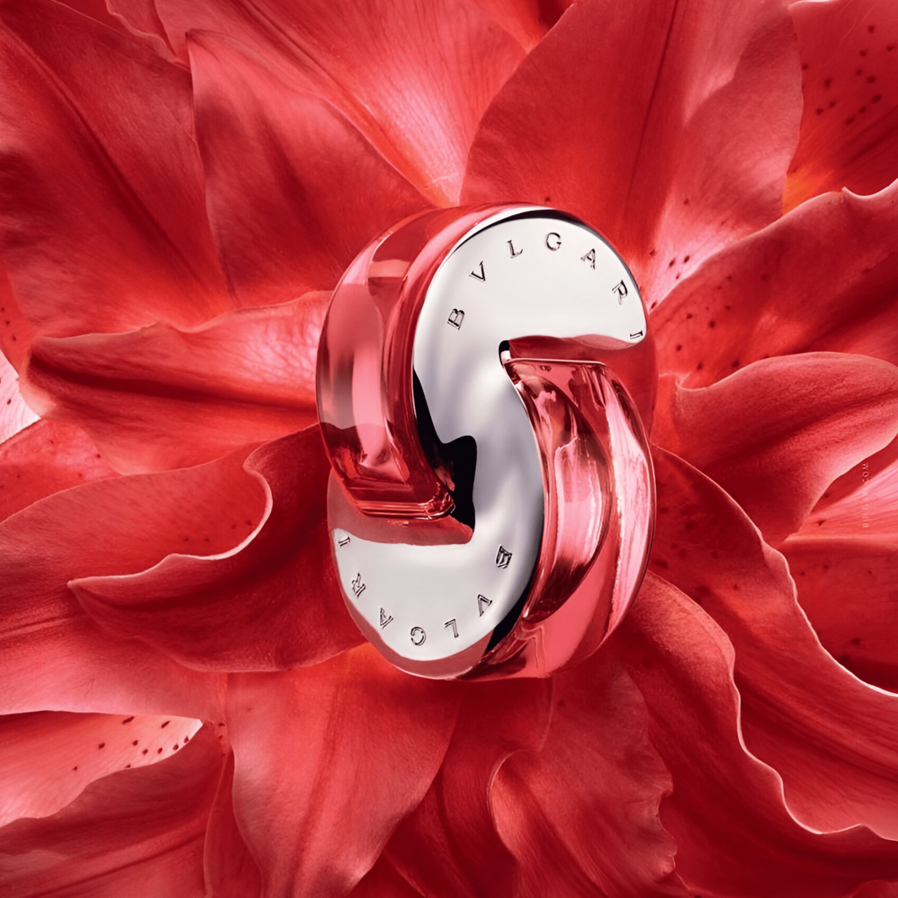 Bvlgari Omnia Coral EDT | My Perfume Shop