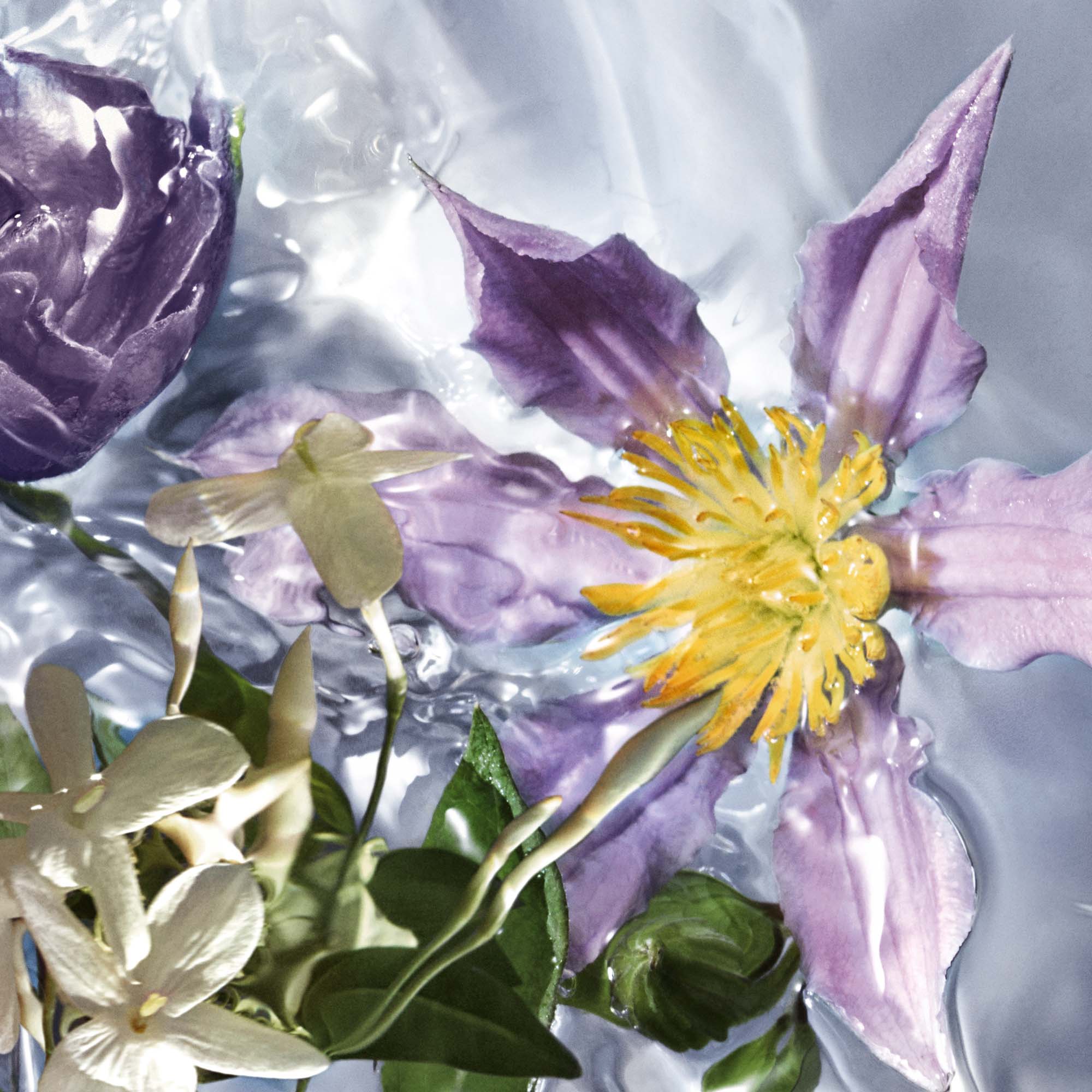 Guerlain Aqua Allegoria Flora Salvaggia EDT | My Perfume Shop