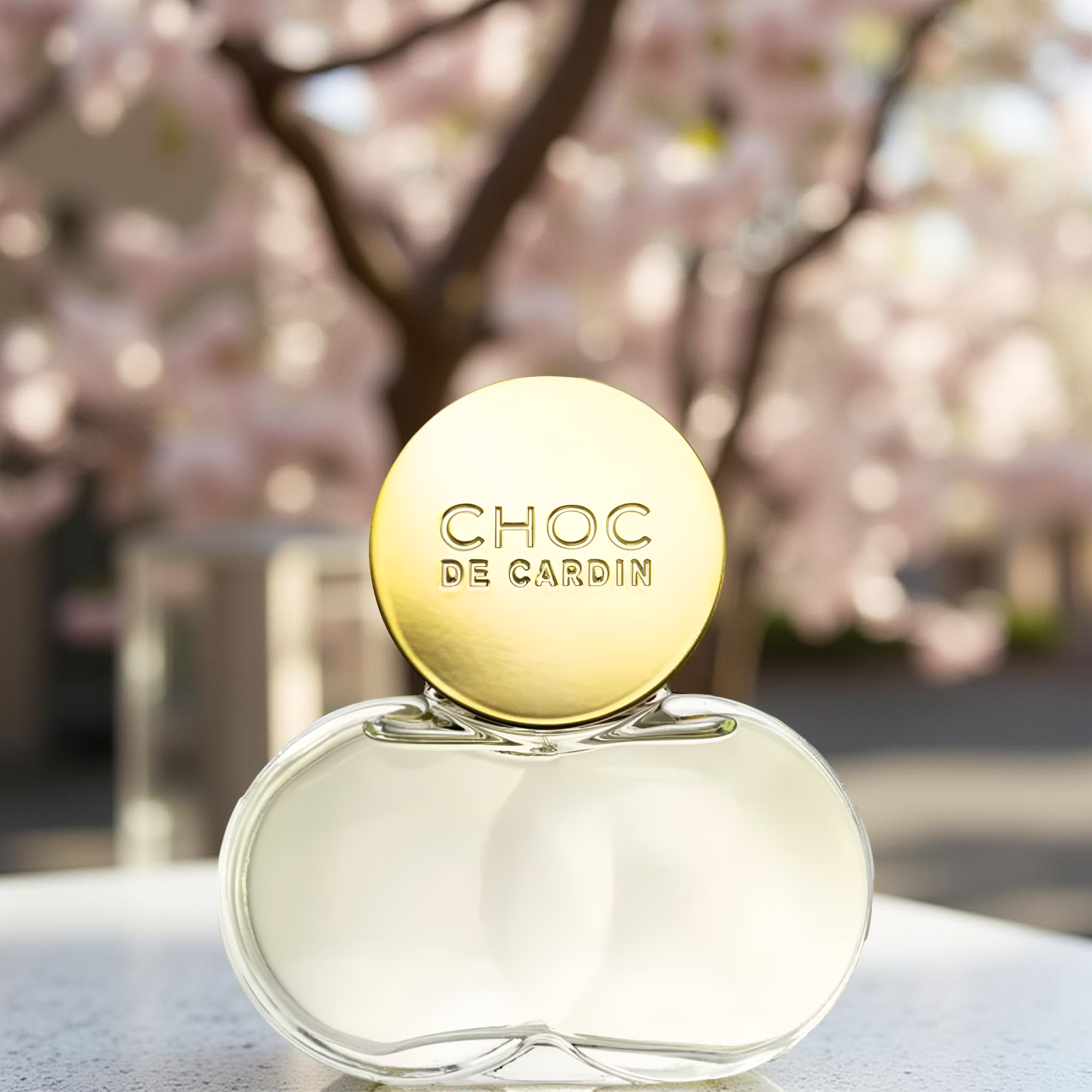Pierre Cardin Choc EDP For Women