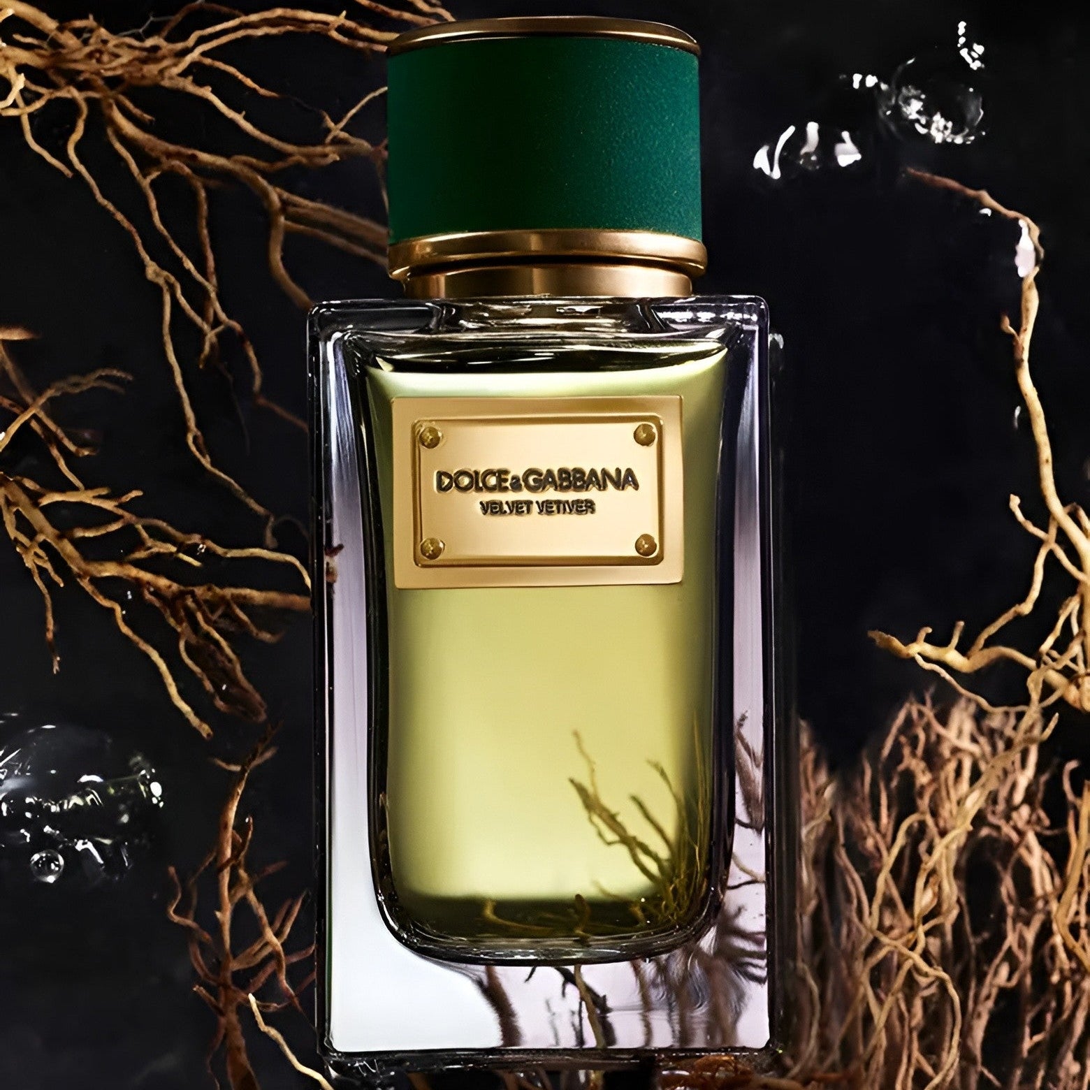 Shop Dolce & Gabbana Velvet Vetiver EDP 100ml | My Perfume Shop