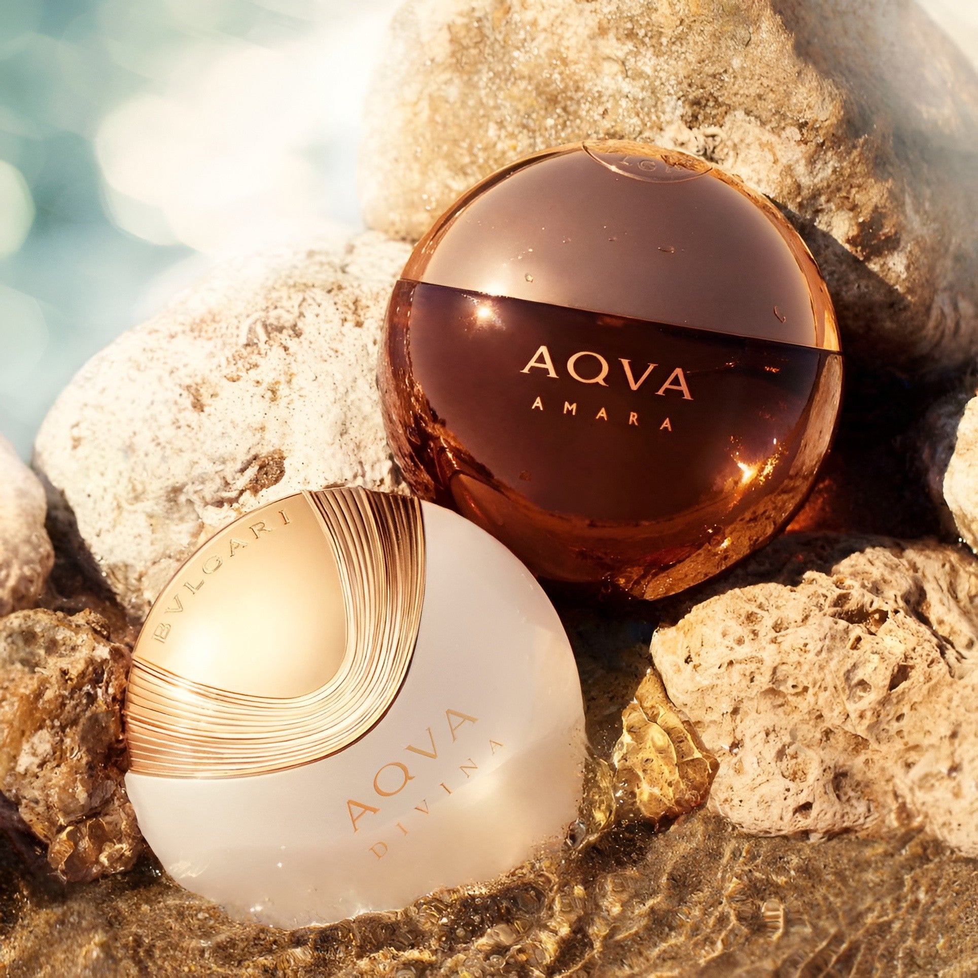 Shop Bvlgari Aqva Divina EDT for Women 40ml | My Perfume Shop Bahrain