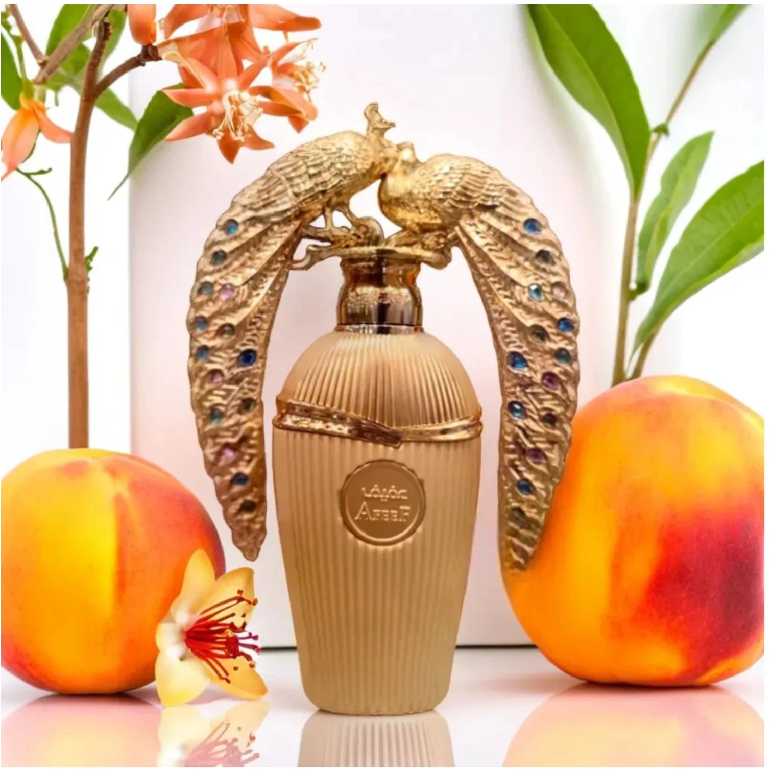 عطر لطافة عفيف